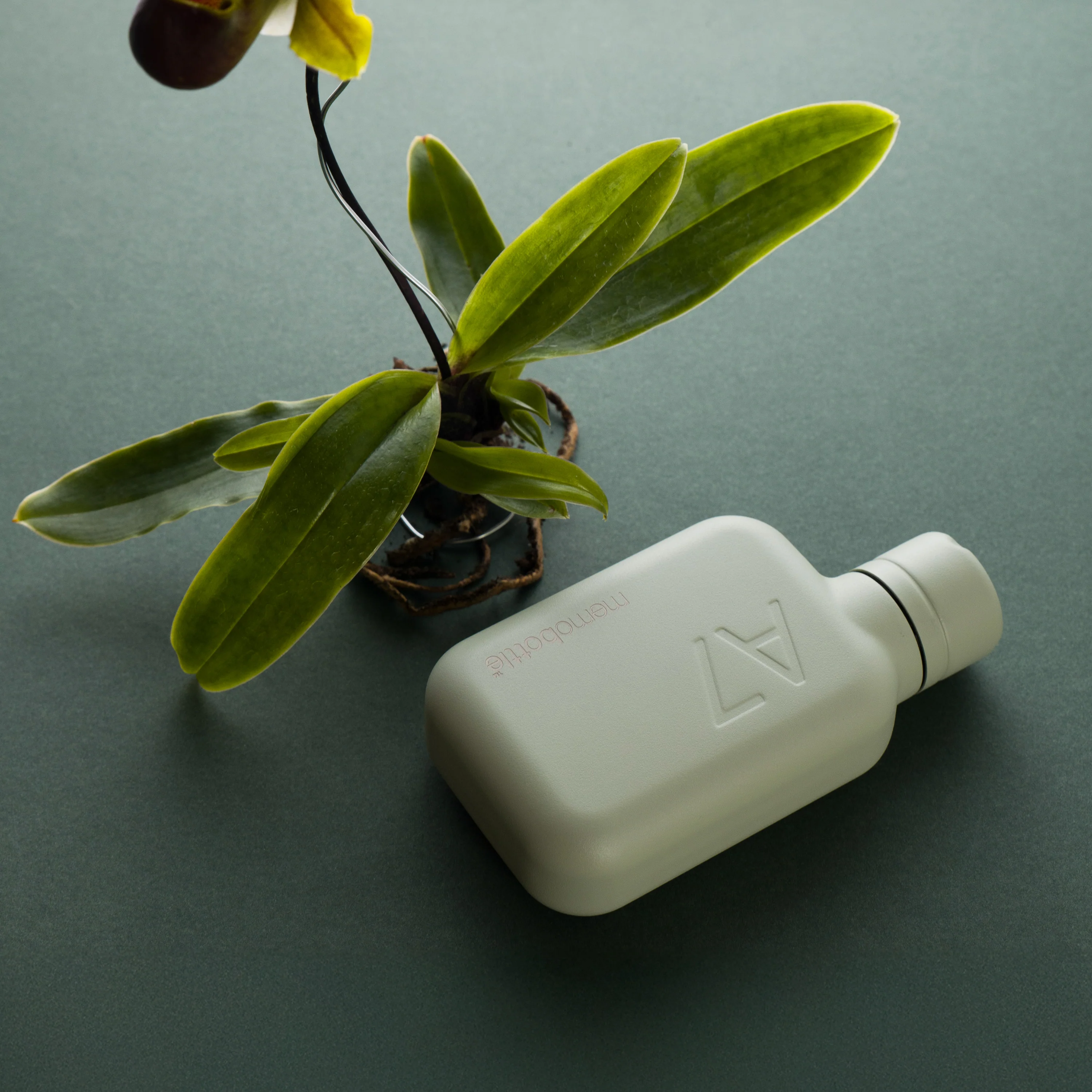 A7 memobottle (Stainless Steel) – Pistachio - Image 3